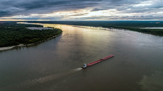 Exploring the Rich Biodiversity of the Mississippi River in Mississippi