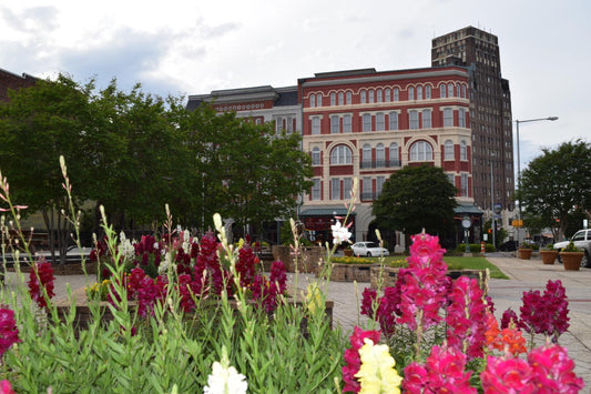 Meridian, Mississippi: A Southern Gem with Rich History and Culture
