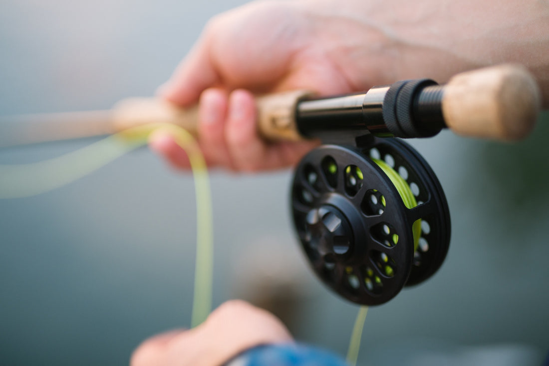 Fly Fishing in Mississippi: A Hidden Gem for Anglers