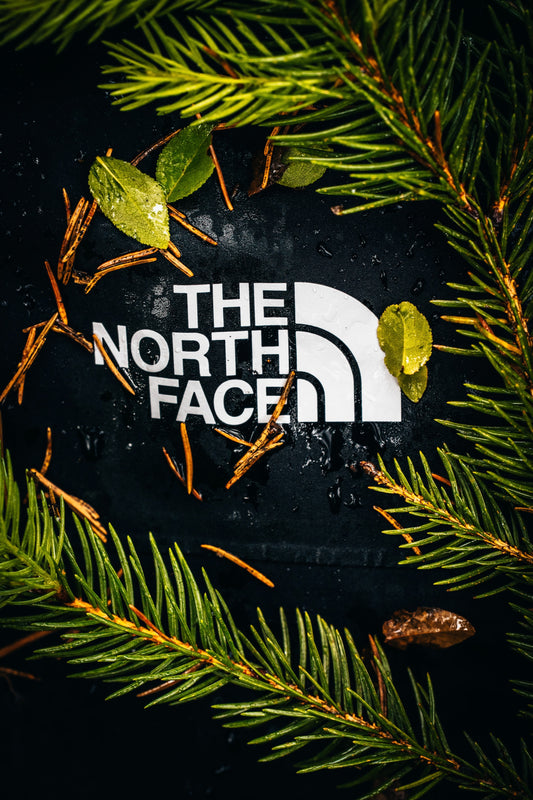 The North Face: A Journey Through Time and Nature